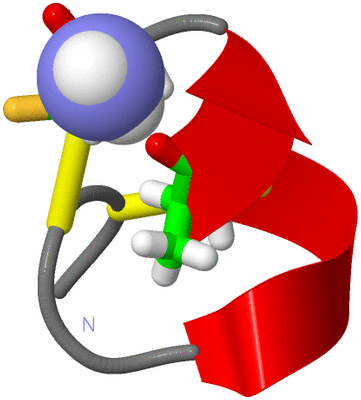 Image NMR Structure - model 1, sites