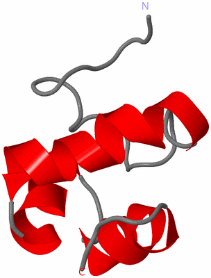 Image NMR Structure - model 1