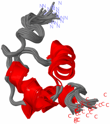 Image NMR Structure - all models