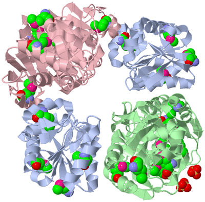 Image Biological Unit 1