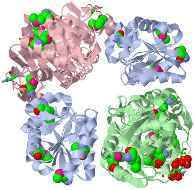 Image Biol. Unit 1 - sites