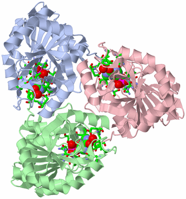 Image Asym./Biol. Unit - sites