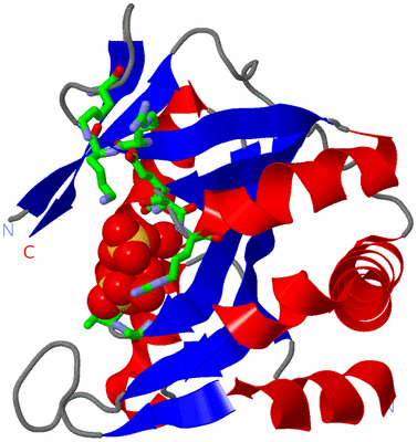 Image Asym. Unit - sites