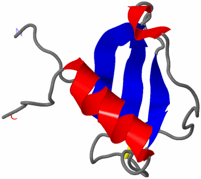 Image NMR Structure - model 1