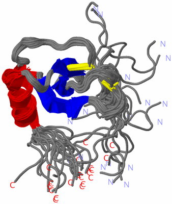 Image NMR Structure - all models