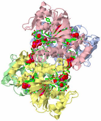 Image Biol. Unit 1 - sites