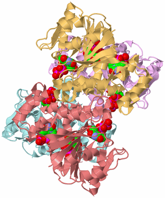 Image Biological Unit 2