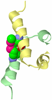 Image Biological Unit 2