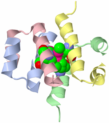 Image Biological Unit 3