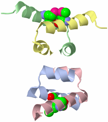 Image Biological Unit 4