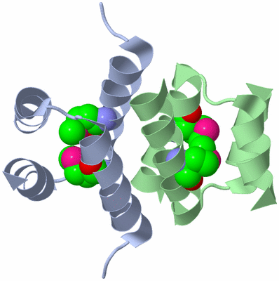 Image Biological Unit 1