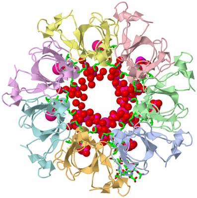 Image Biol. Unit 1 - sites