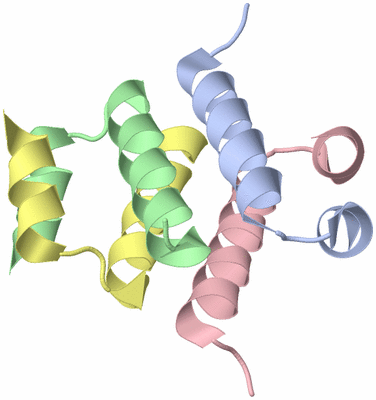 Image Biological Unit 3