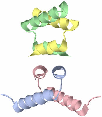 Image Biological Unit 4