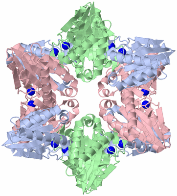 Image Biological Unit 1