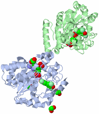 Image Asym./Biol. Unit