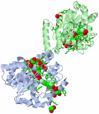 Image Asym./Biol. Unit - sites