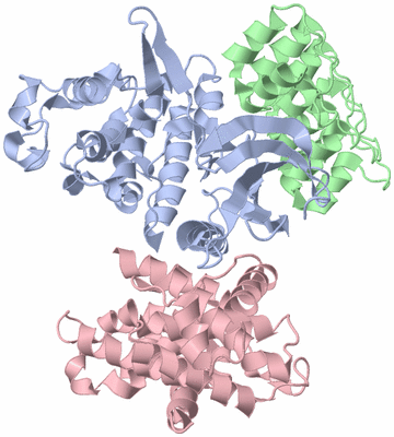 Image Biological Unit 1