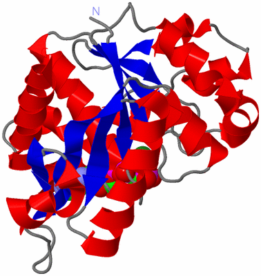 Image Asym./Biol. Unit