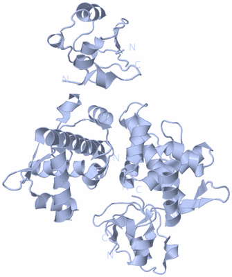 Image Biological Unit 1