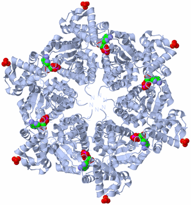 Image Biological Unit 1