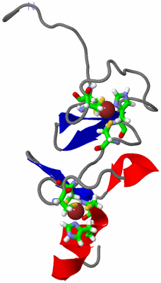 Image NMR Structure - model 1, sites