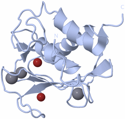 Image Biological Unit 1