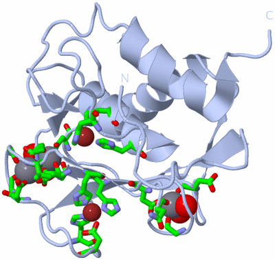 Image Biol. Unit 1 - sites