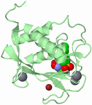 Image Biological Unit 2