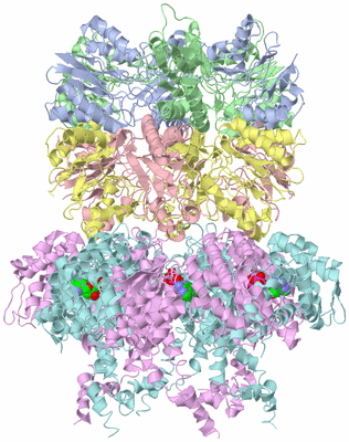 Image Biological Unit 1