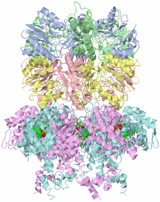 Image Biol. Unit 1 - sites