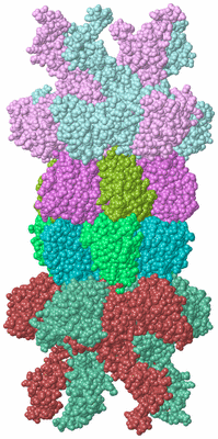 Image Biological Unit 1