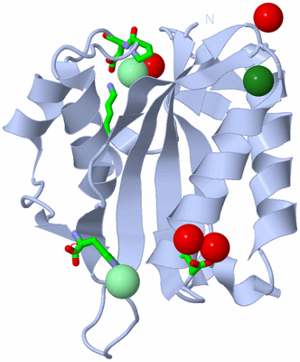 Image Biol. Unit 1 - sites