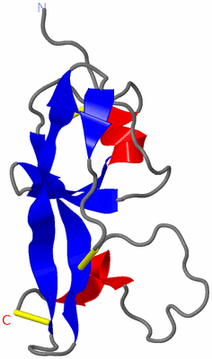 Image NMR Structure - model 1