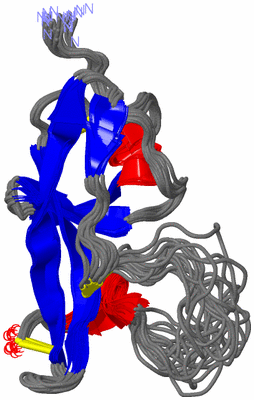 Image NMR Structure - all models