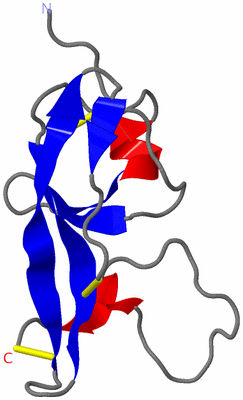 Image NMR Structure - model 1