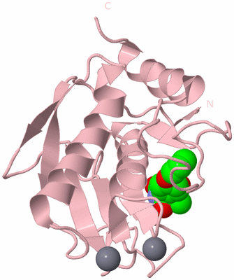 Image Biological Unit 3