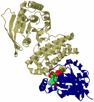 Image Asym./Biol. Unit