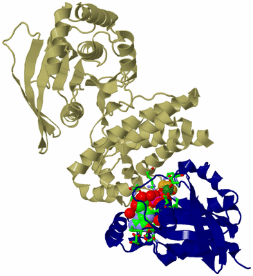 Image Asym./Biol. Unit - sites