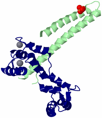 Image Asymmetric Unit