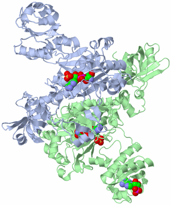 Image Asym./Biol. Unit