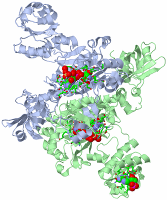 Image Asym./Biol. Unit - sites