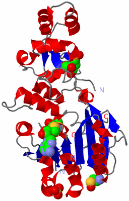 Image Asym./Biol. Unit