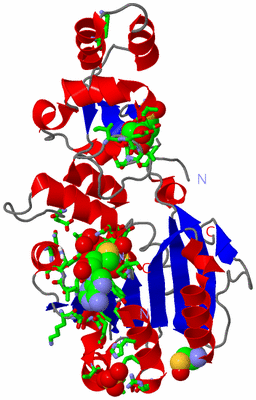 Image Asym./Biol. Unit - sites