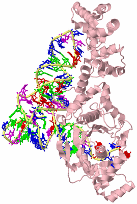 Image Biological Unit 2