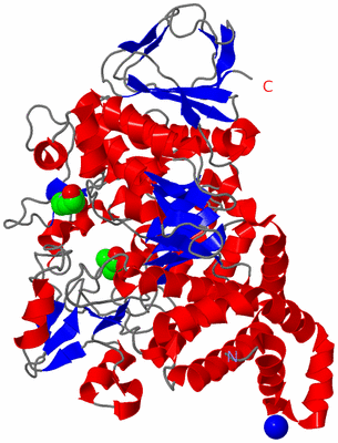 Image Asym./Biol. Unit