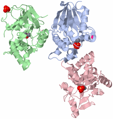 Image Asymmetric Unit