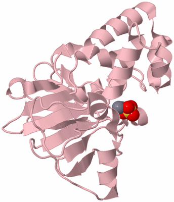 Image Biological Unit 3