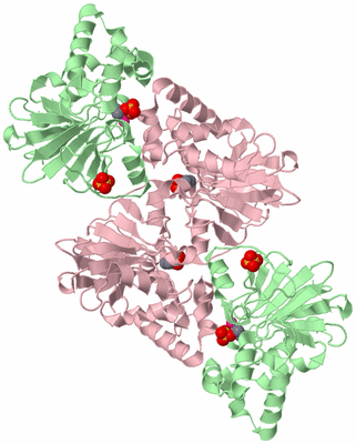 Image Biological Unit 4
