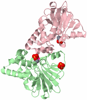 Image Biological Unit 5